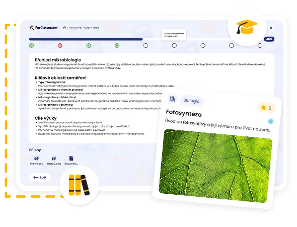 multimedia image